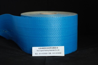 探索無(wú)錫編織布 從傳統(tǒng)涂膜編織布到環(huán)保生態(tài)毯的演進(jìn)